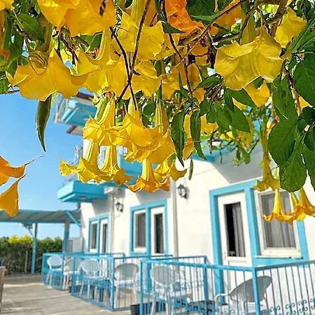 Ξενοδοχείο Enjoy 3*