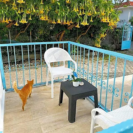 Enjoy 3* Φετιγιέ